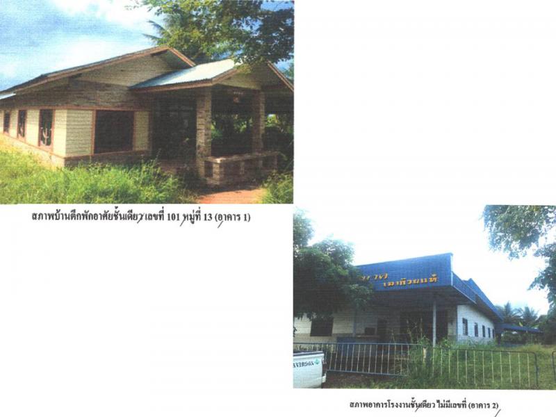 ที่ดินพร้อมสิ่งปลูกสร้างหลุดจำนอง ธ.ธนาคารออมสิน หนองคาย ท่าบ่อ น้ำโมง