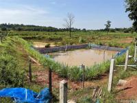 ที่ดินว่างเปล่าหลุดจำนอง ธ.ธนาคารกสิกรไทย หนองคาย โพนพิสัย จุมพล