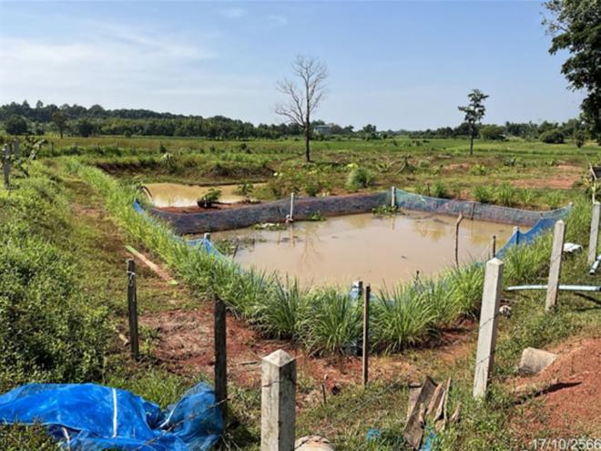 ที่ดินว่างเปล่าหลุดจำนอง ธ.ธนาคารกสิกรไทย หนองคาย โพนพิสัย จุมพล