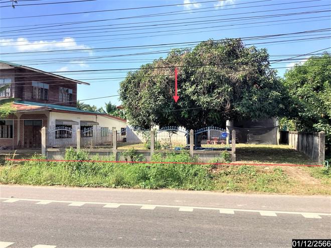 บ้านเดี่ยวหลุดจำนอง ธ.ธนาคารกสิกรไทย หนองคาย ศรีเชียงใหม่ พานพร้าว