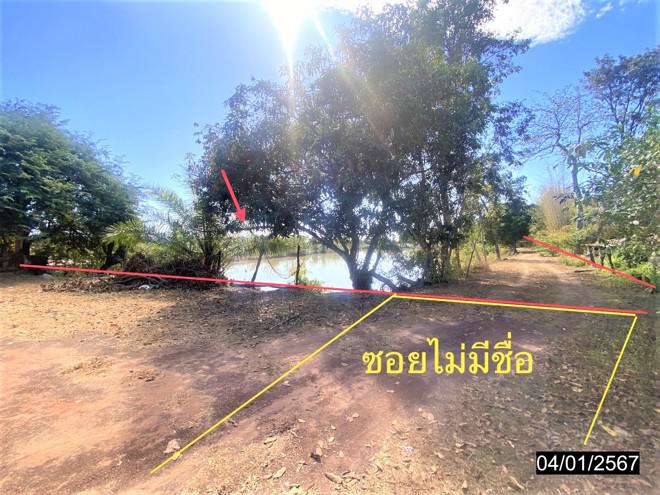 ฟาร์มหลุดจำนอง ธ.ธนาคารกสิกรไทย หนองคาย เมืองหนองคาย พระธาตุบังพวน